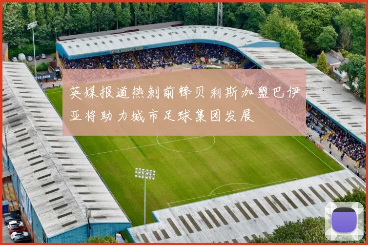 英媒报道热刺前锋贝利斯加盟巴伊亚将助力城市足球集团发展