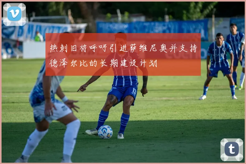 热刺旧将呼吁引进萨维尼奥并支持德泽尔比的长期建设计划